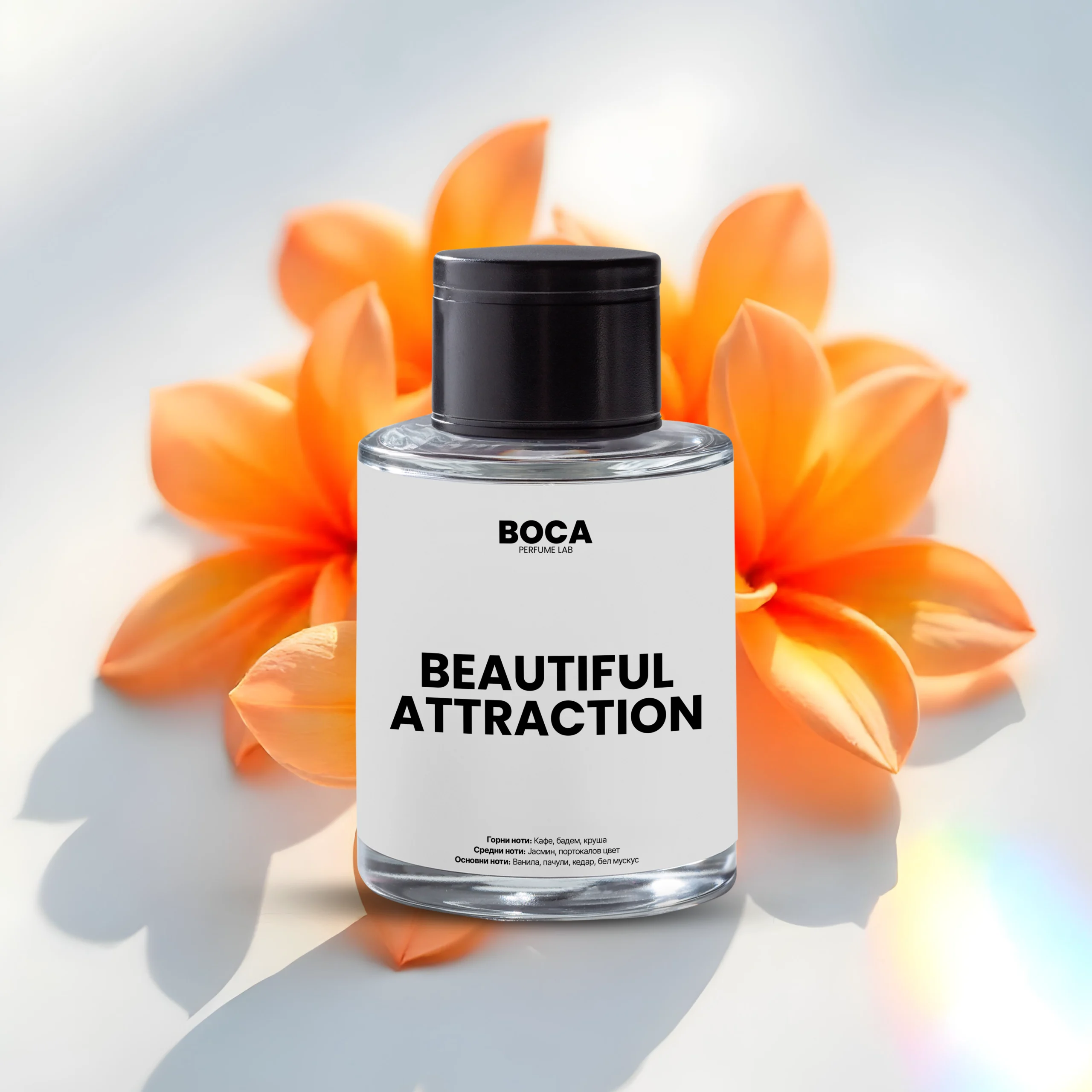 beautiful-attraction-40-scaled-1