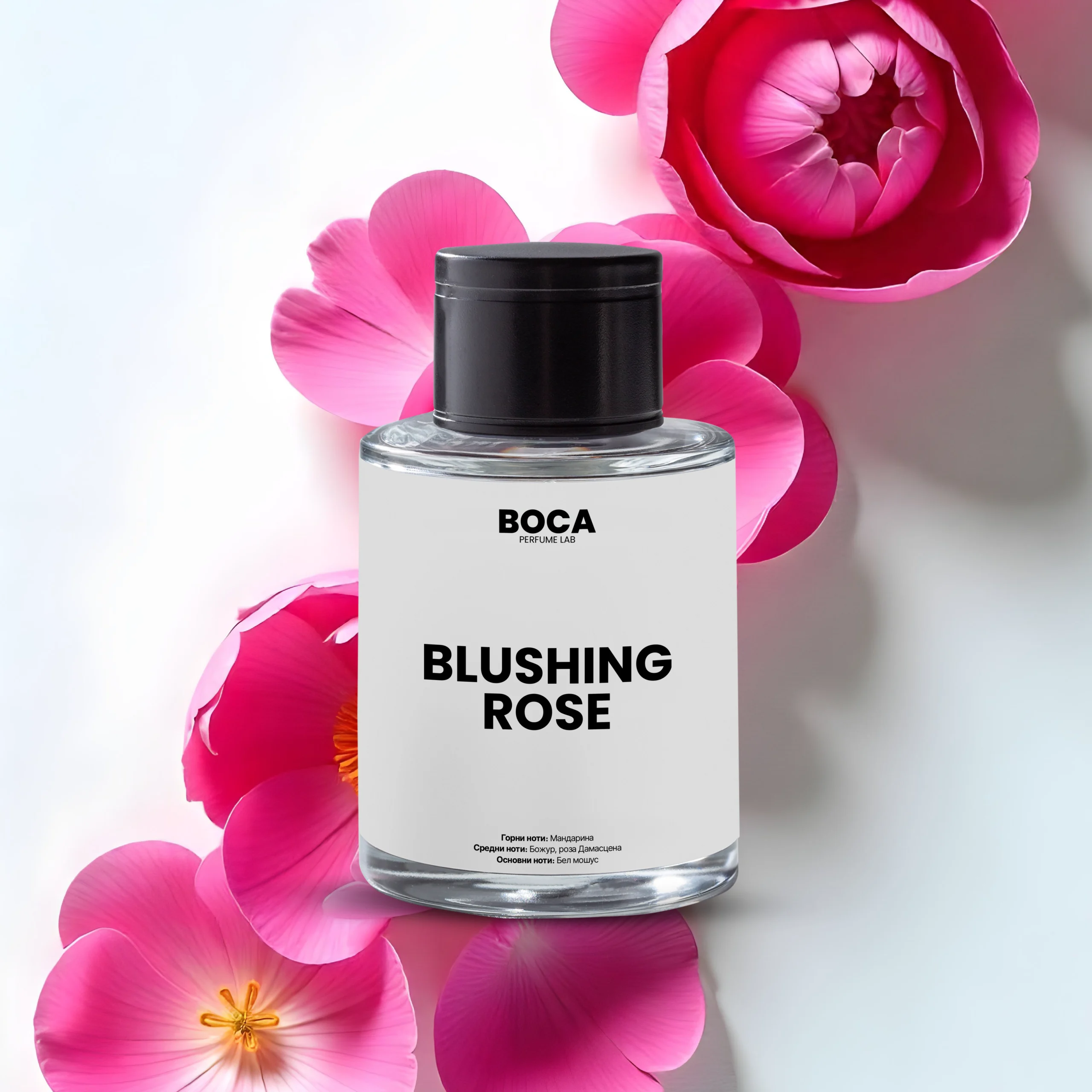 blushing-rose-20-scaled-1