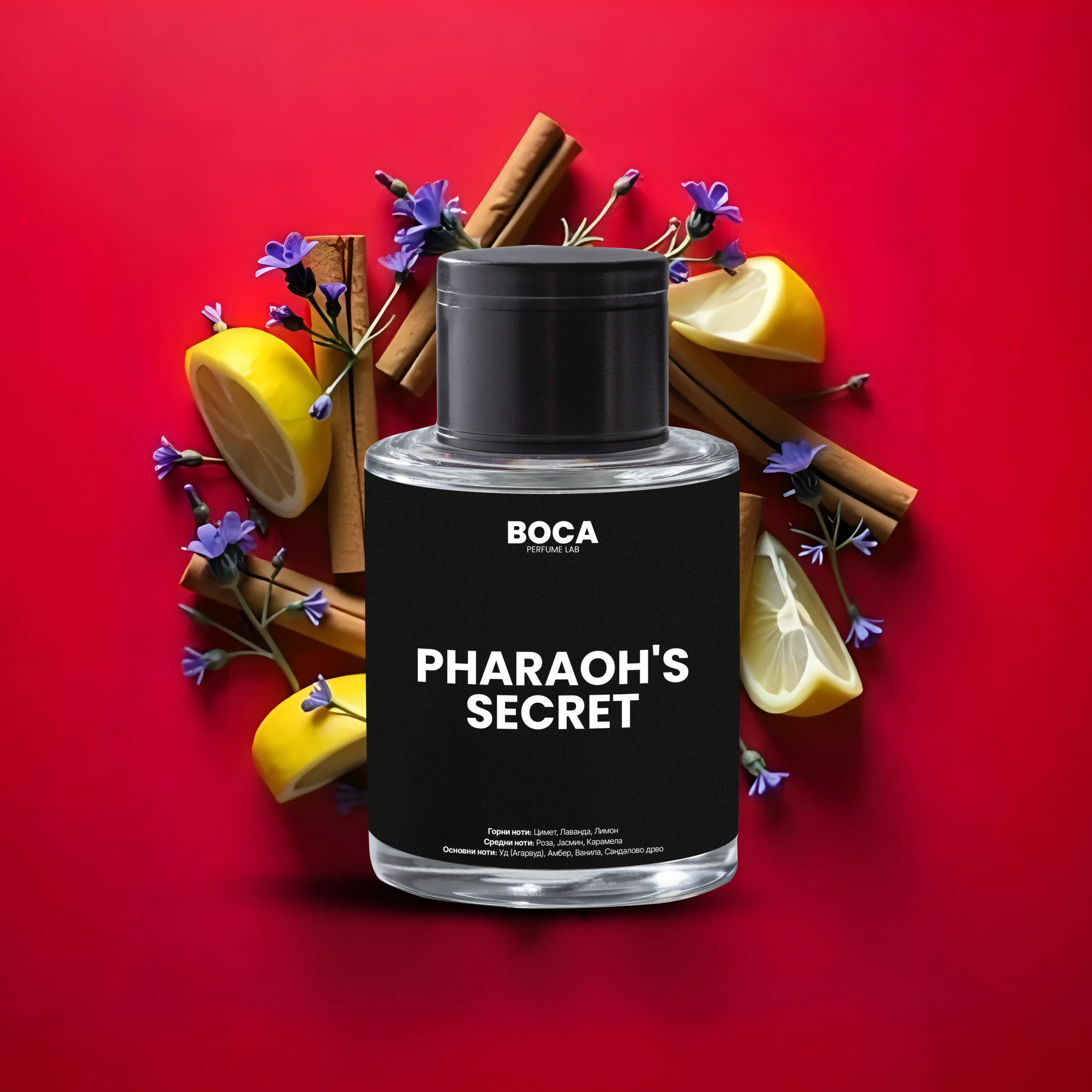 pharaons-secret-94-scaled-1